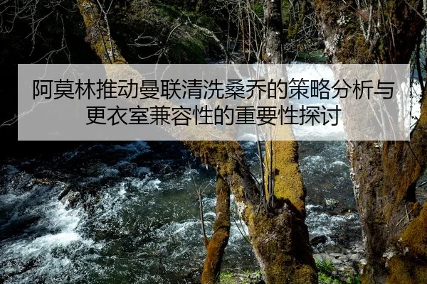 阿莫林推动曼联清洗桑乔的策略分析与更衣室兼容性的重要性探讨