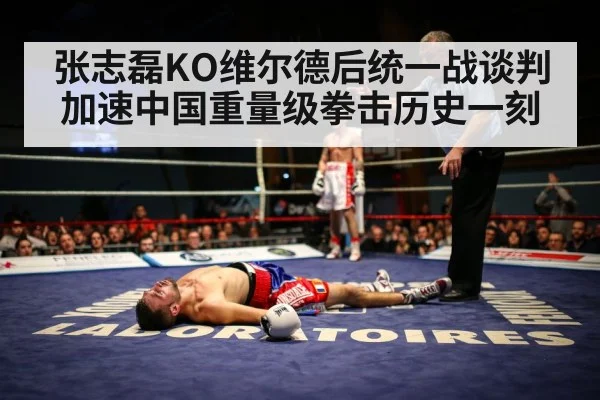 张志磊KO维尔德后统一战谈判加速中国重量级拳击历史一刻