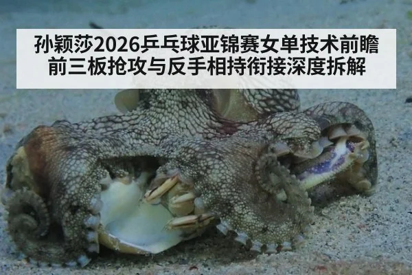 孙颖莎2026乒乓球亚锦赛女单技术前瞻 前三板抢攻与反手相持衔接深度拆解